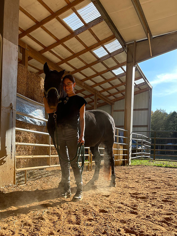 A person participates in equine therapy at a mental health retreat.